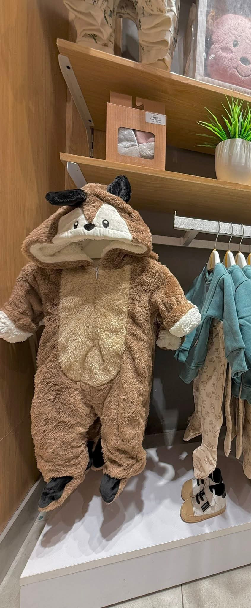 Brown Bebic سالوبيت ولادى